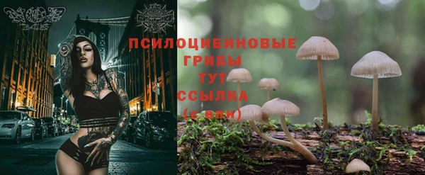 шишки Алексеевка