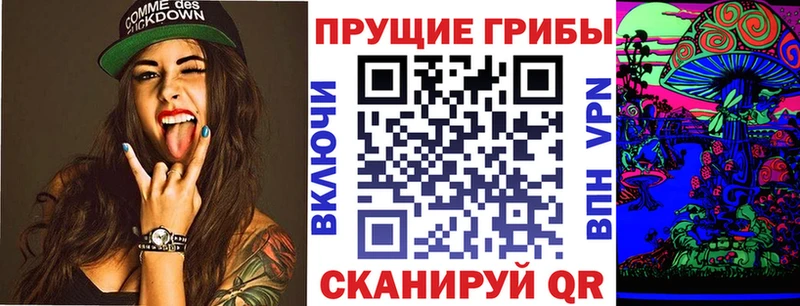 даркнет сайт  Калач-на-Дону  Галлюциногенные грибы мицелий 
